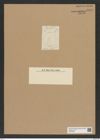 Diatomeae indet. Zeichnungen Sammlung Grunow Nr. 6837 (NHMW-BOT-W0375690)